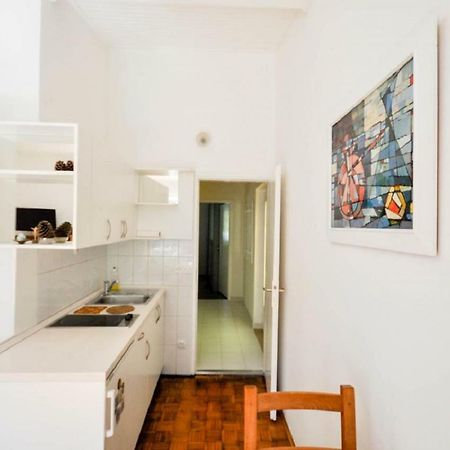 Palme Apartment Novigrad  Zewnętrze zdjęcie